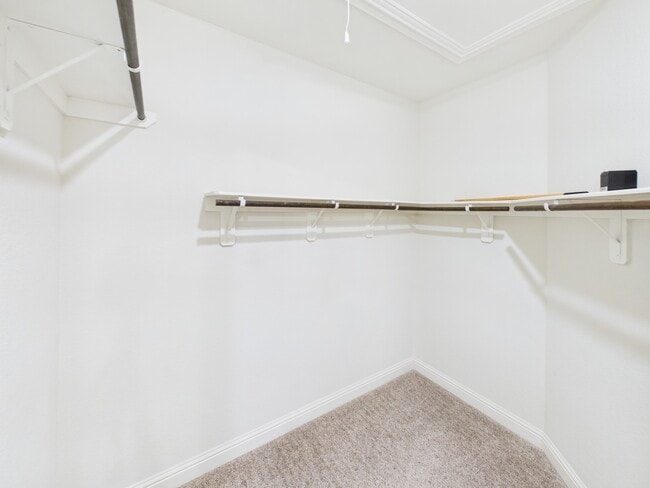 Building Photo - 8918 Terrace Pass Dr