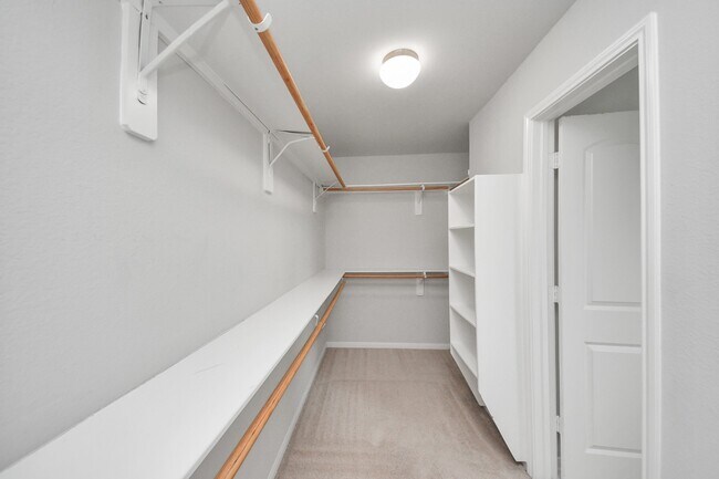 Building Photo - 2931 Palm Oaks Trail