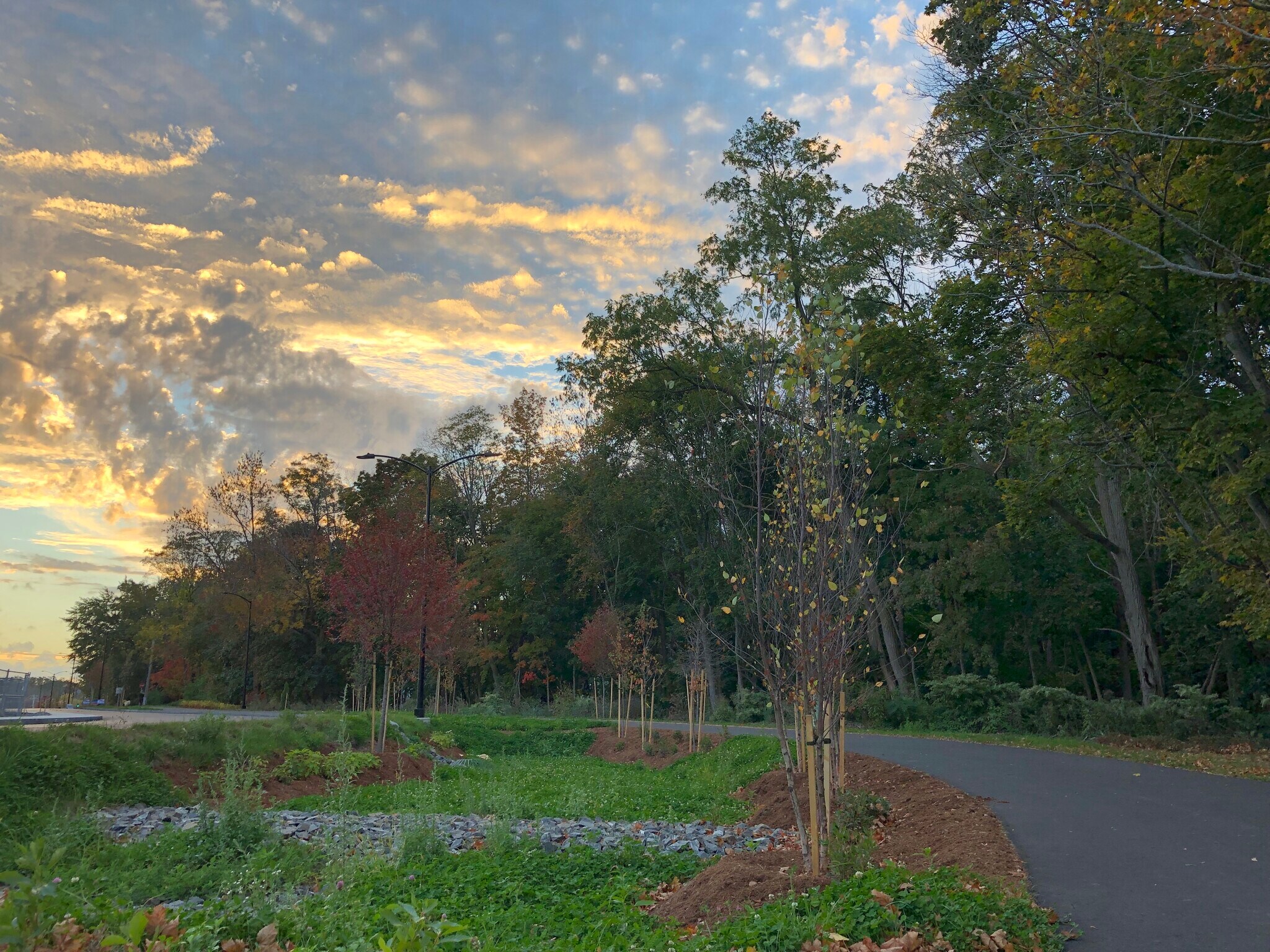 Building Photo - 30 Cate St