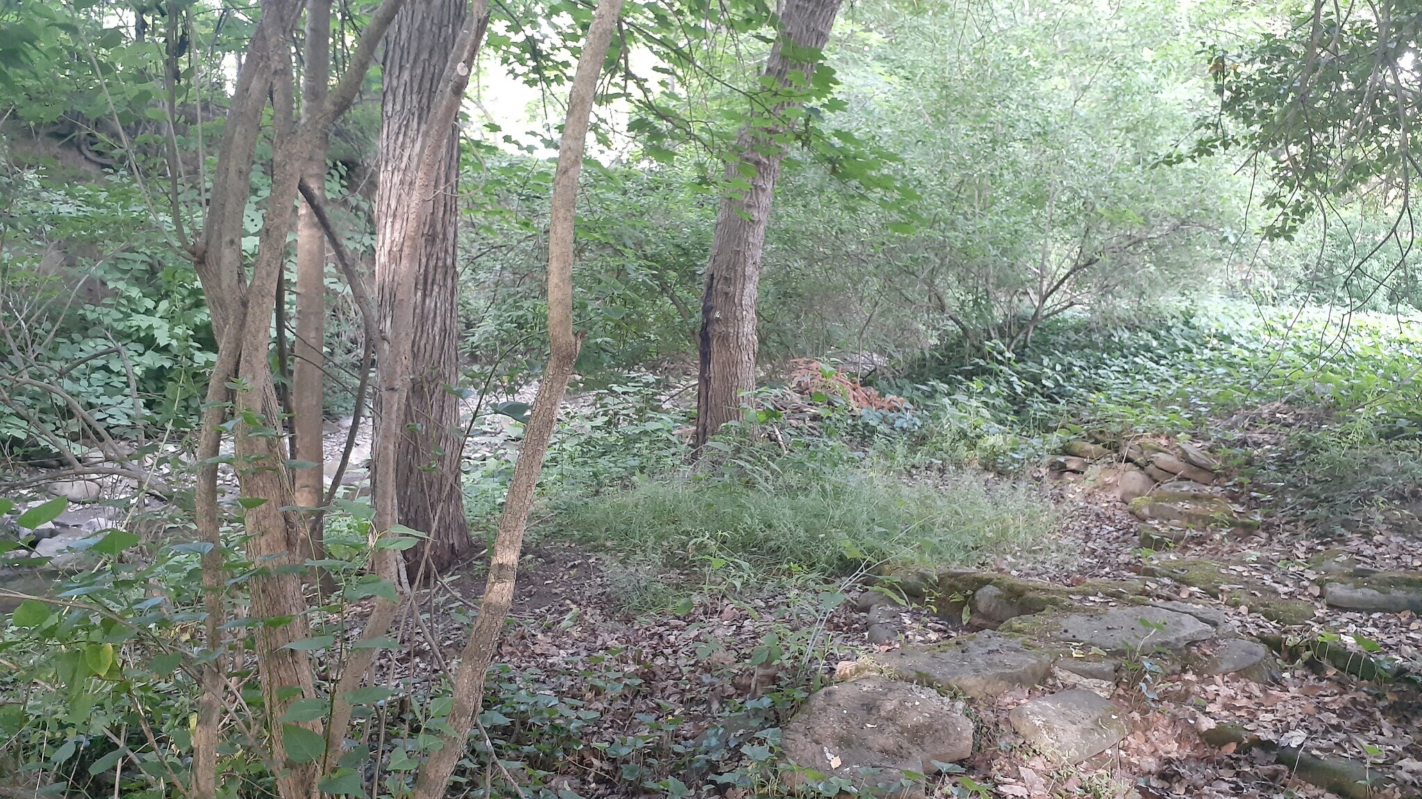 Building Photo - 23 Union St