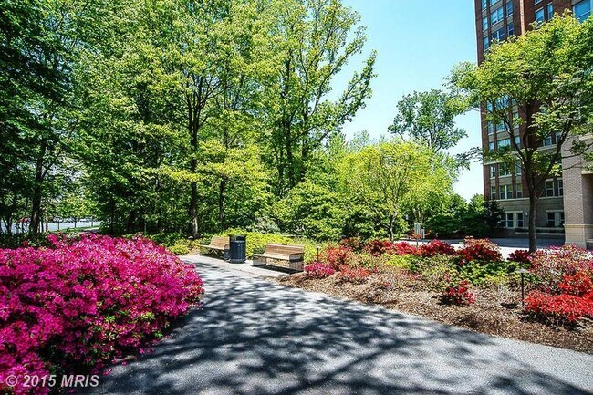 Building Photo - 11776 Stratford House Pl