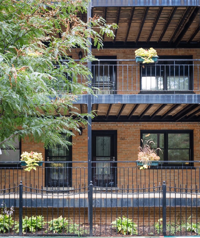 Building Photo - Ivy Terrace