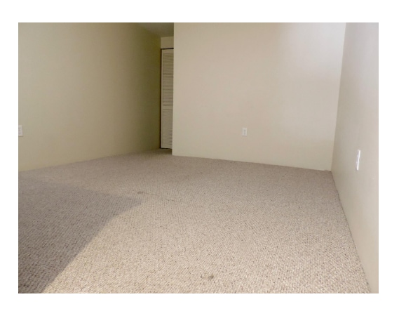 Building Photo - 369 Dorchester St