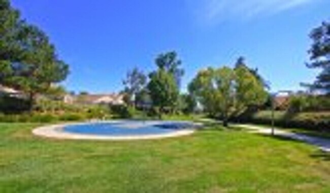 Building Photo - Paloma Del Sol Home- Move in Ready