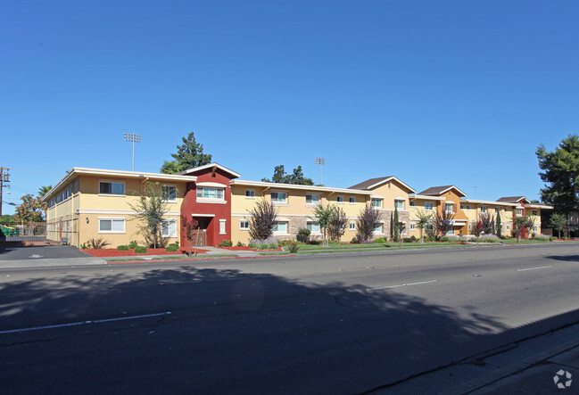 Primary Photo - Sienna Terrace Apartments