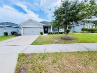Building Photo - 3978 White Ibis Rd