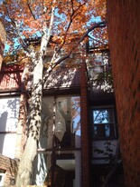 Building Photo - 2126 Lombard St