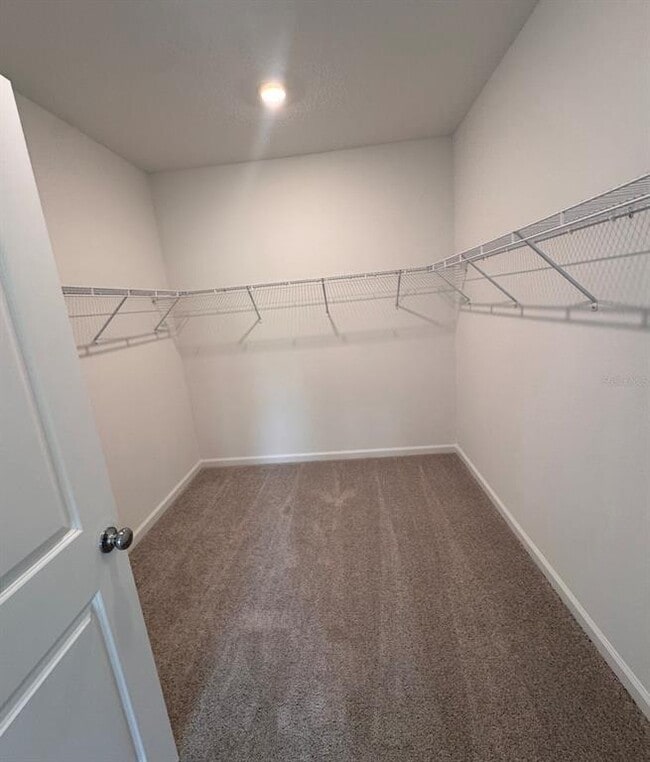 Building Photo - 2769 Skyline Lp