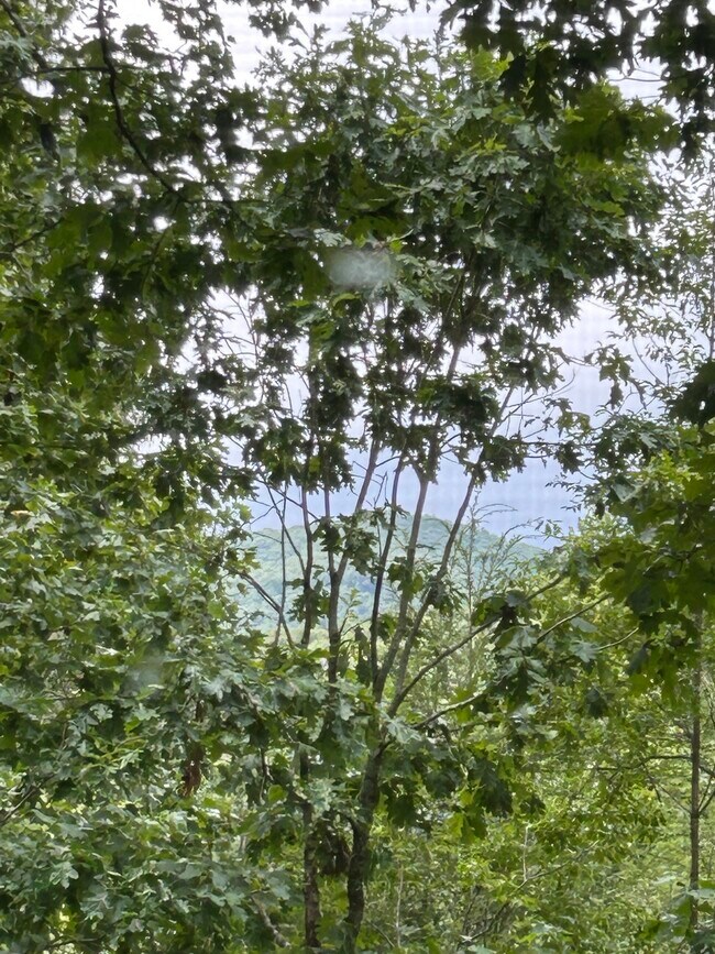 Building Photo - 513 Lapidary Ln