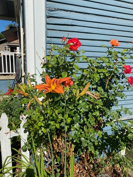 Building Photo - 616 W Mulberry St