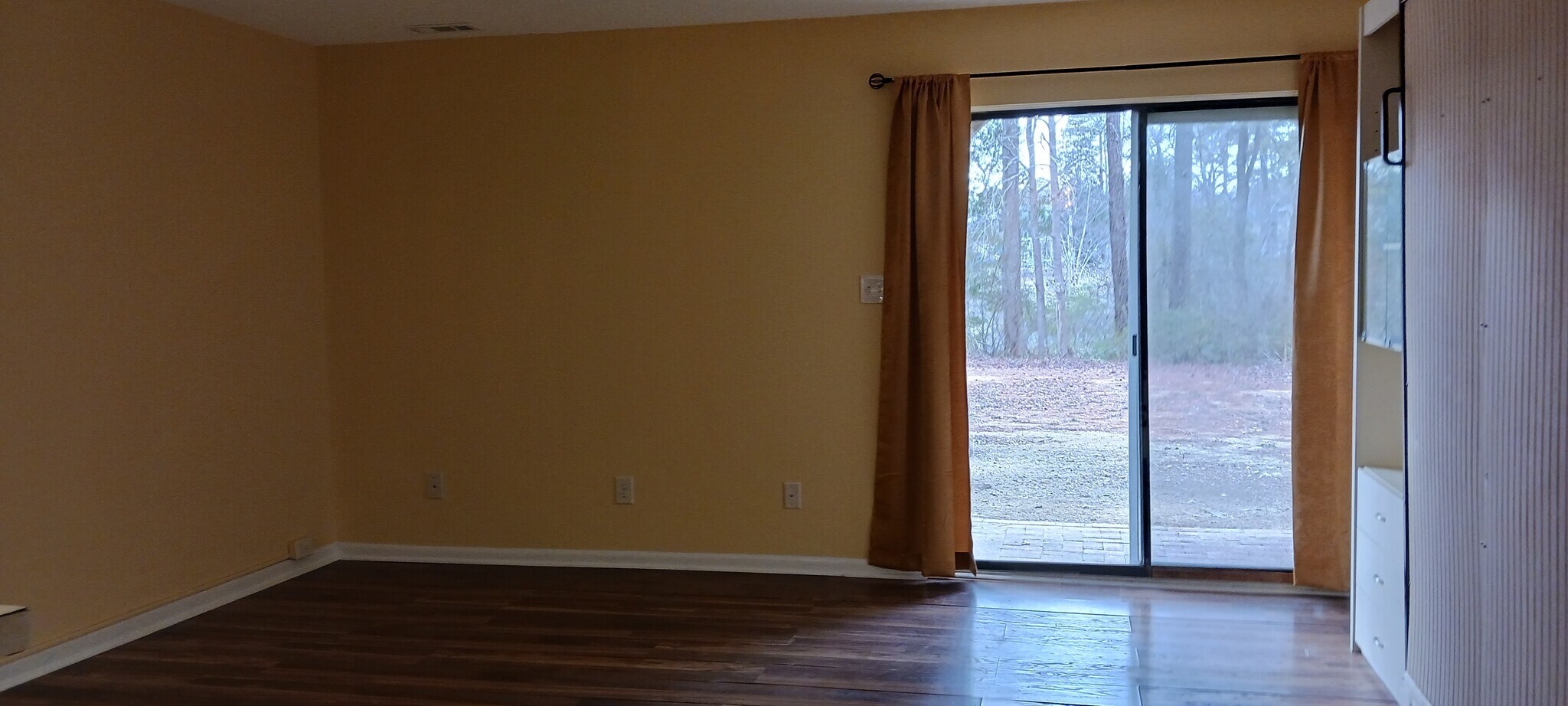 Living / Bedroom - 3009 Huntleigh Dr