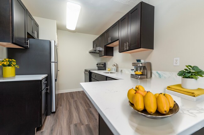 Experience culinary elegance in this chic modern kitchen, perfect for gourmet cooking. - University Crossing Apartments