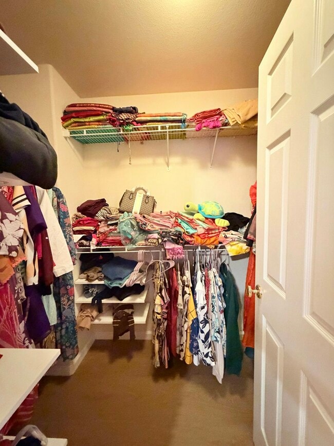 Building Photo - 4150 Munoz Ct