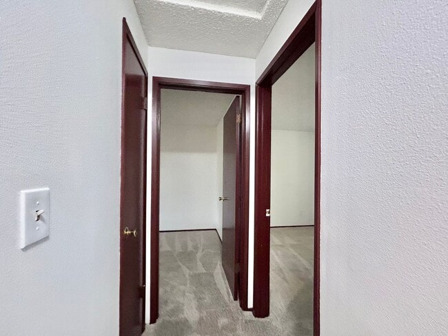 Building Photo - Bright and Open 3 Bed, 1 Bath House!