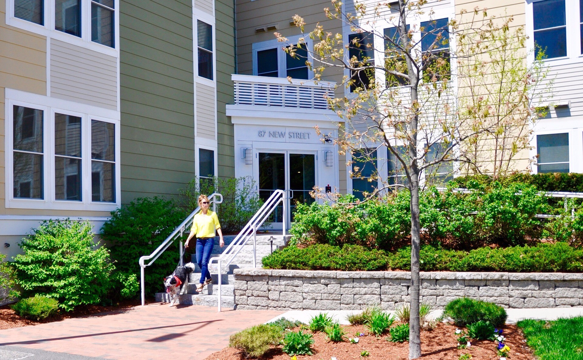 Building Photo - 87 New St