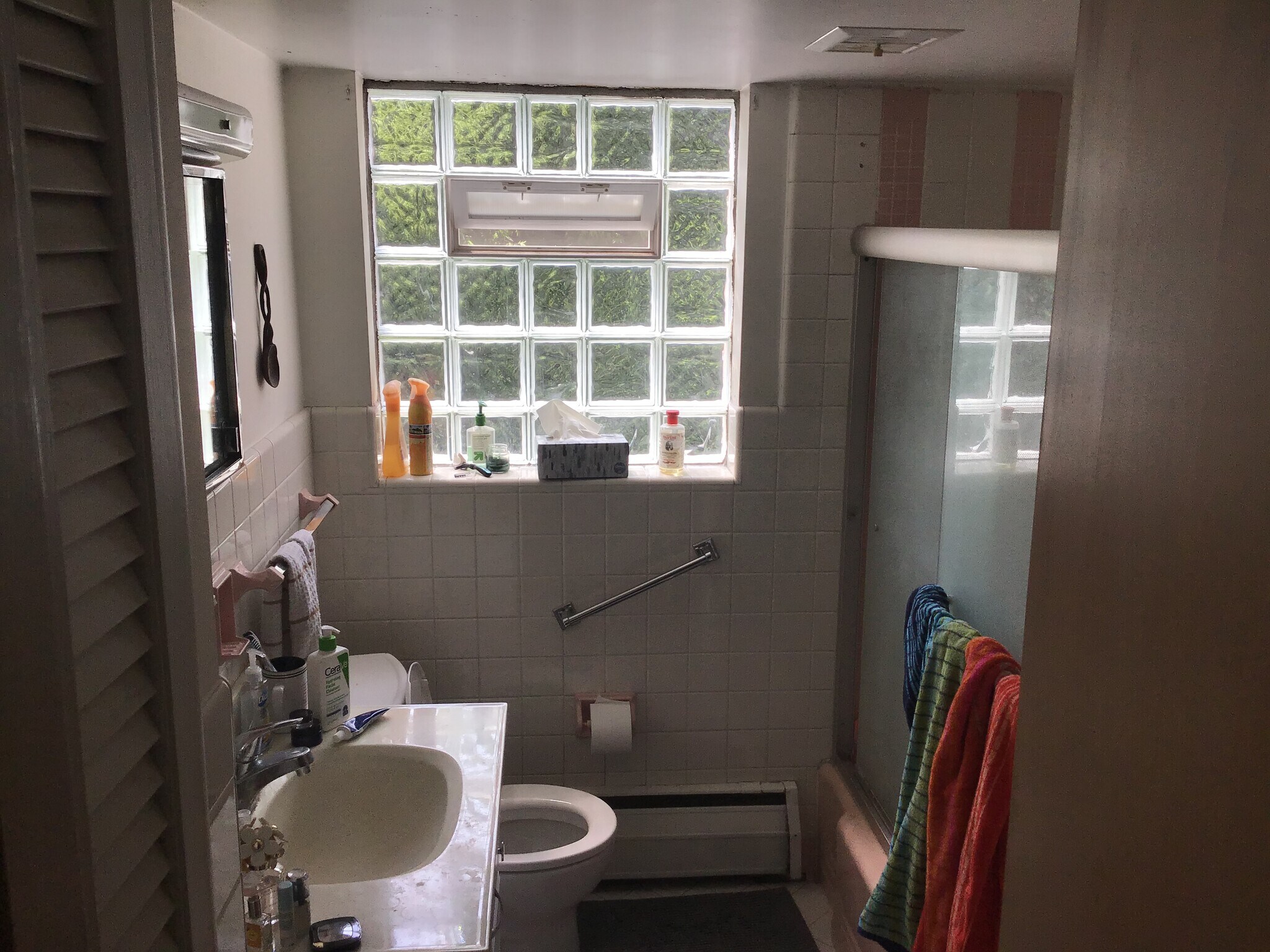 Glass Block in Bathroom - 2819 Erie Ave