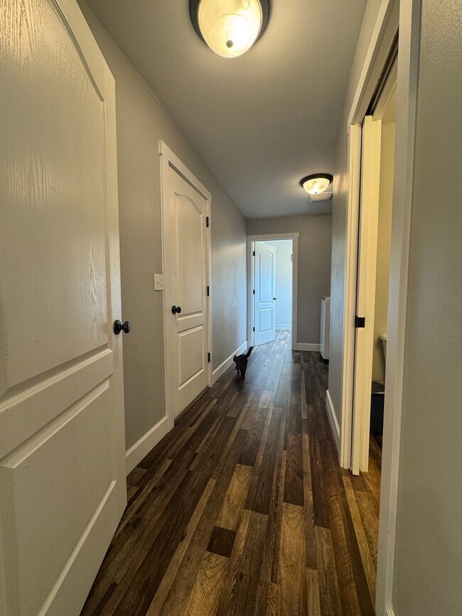 Building Photo - HUGE PET FRIENDLY Rental