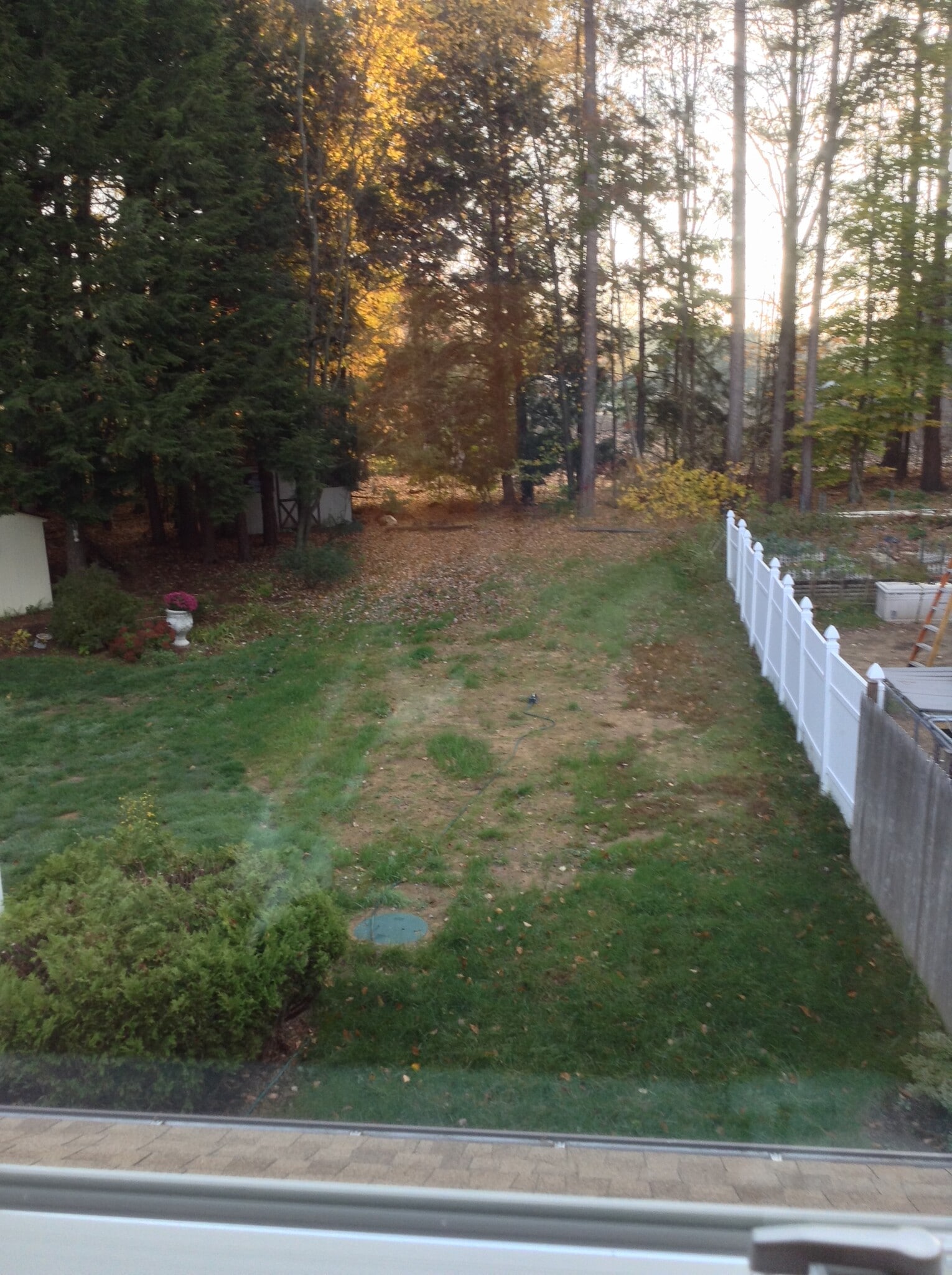 backyard before fence - 38 Whispering Pines Rd