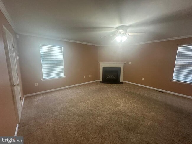 Building Photo - 3877 Shiner Ct