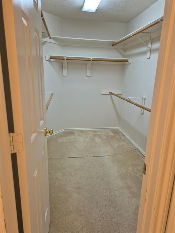 Building Photo - 3123 Aylesworth Ct