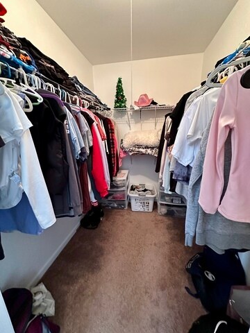 Building Photo - 29 Stanton Ct