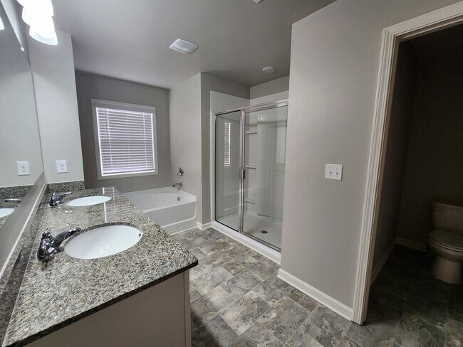 Building Photo - 5 Bedroom 3 Bath 2 Car Garage in Forsyth C...