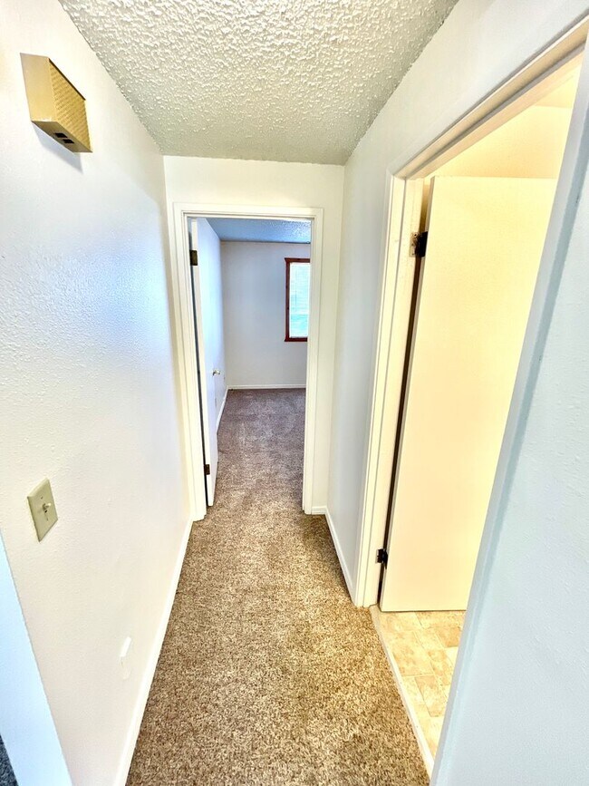 Building Photo - 3047 Kane St