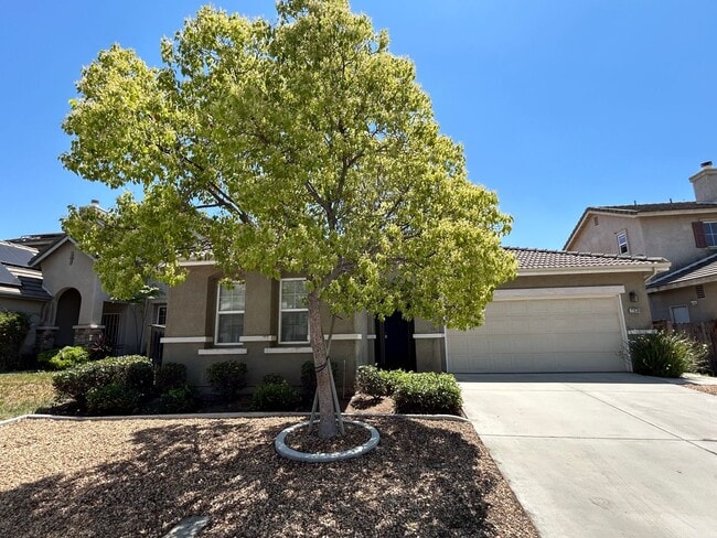 Primary Photo - Updated 3 Bedroom