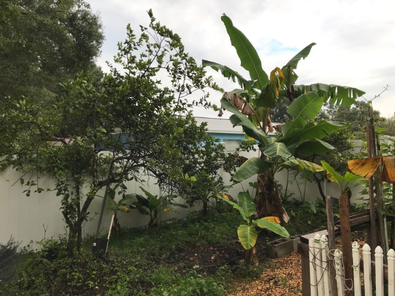 Building Photo - 4859 Billy Direct Ln