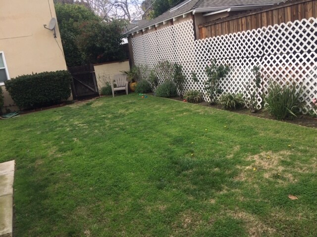 backyard - 5216 1/2 Agnes Ave