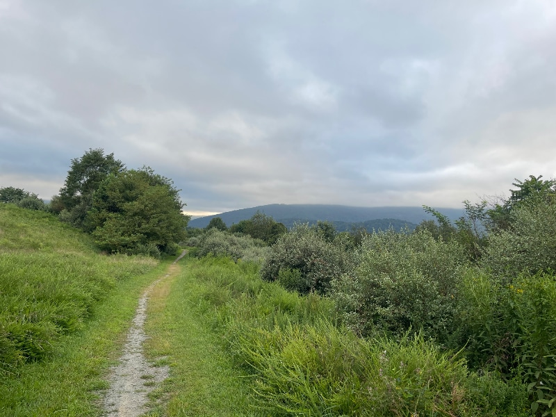 Building Photo - 1015 Heathercroft Cir