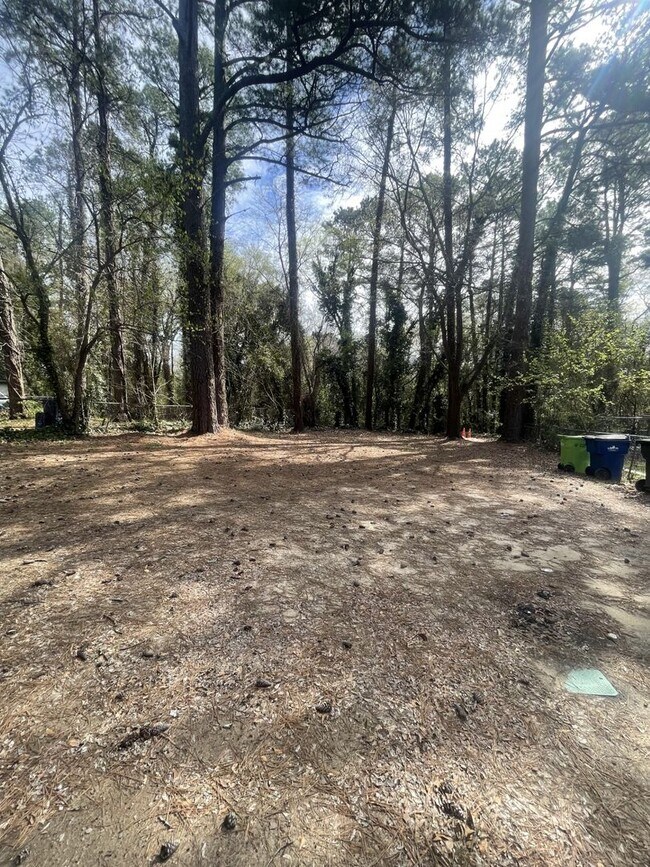 Building Photo - 3 bd 1 ba ranch house