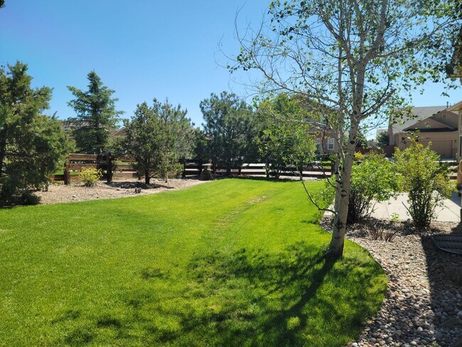 Building Photo - 5 Bed 3 Bath Ranch w/ AC - Available Now! ...