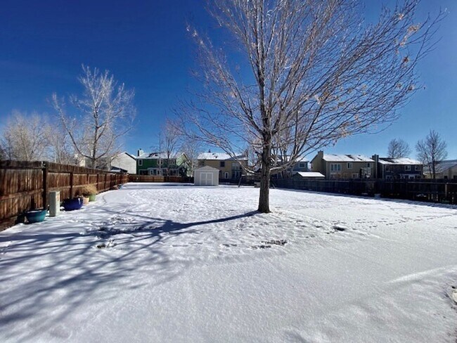 Building Photo - Spacious Briargate 4 Bedroom/3.5 Bathroom Home with huge Yard