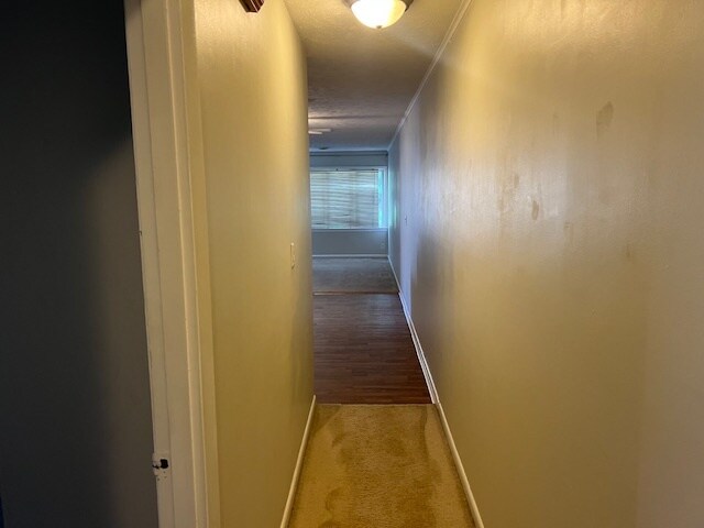 Building Photo - 540 Charles St