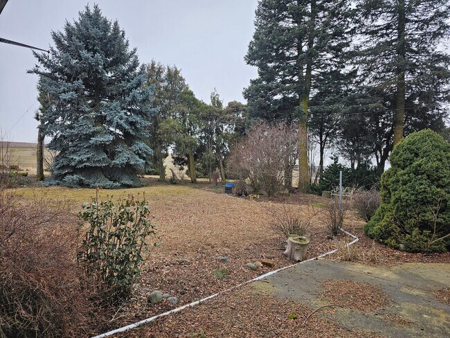 Building Photo - 1101 Stan Wilcox Rd