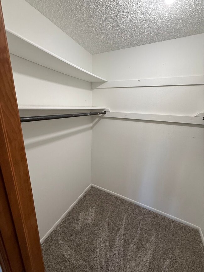 Building Photo - 3 Bed 2 Bath Large Semi-Rural Modern Beautiful Home