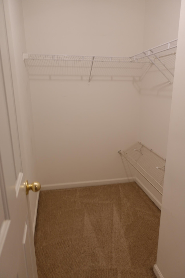 Building Photo - 25 Stratus Ct