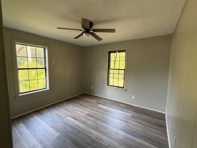 Building Photo - 317 Kelly St