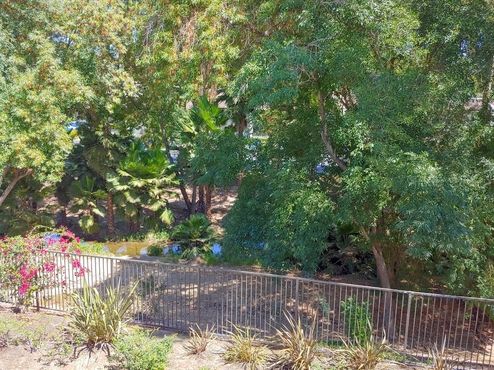 View of creek from living room - 1430 W Lambert Rd