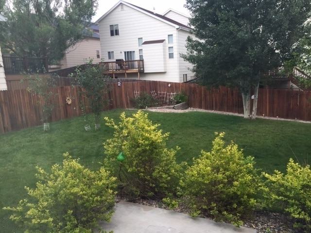 Building Photo - Lovely Ranch Style Home in Stetson Hills!