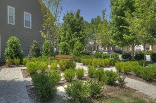 Building Photo - 2 BED/2.5 BATH Townhome in Magnificent Wesley Heights West End District