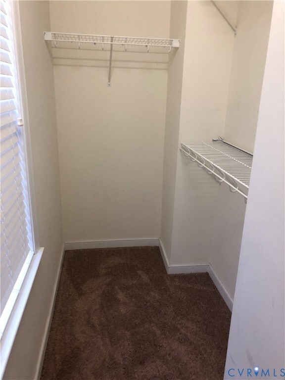 Building Photo - 4073 Trisha Trail