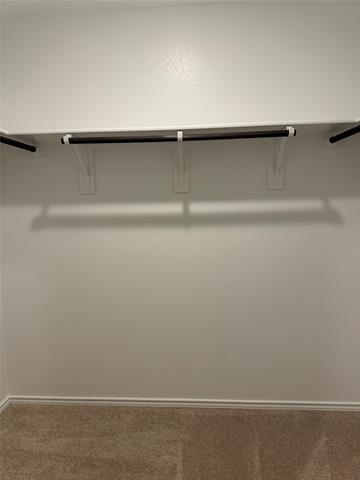 Building Photo - 11719 Bone Spg Dr