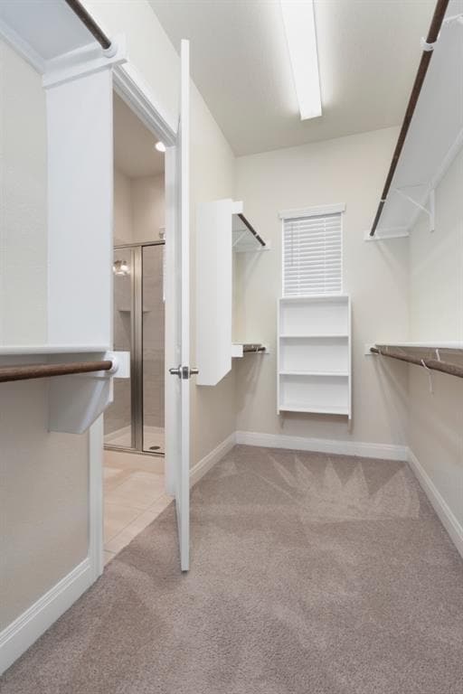 Building Photo - 3805 Wales Ct