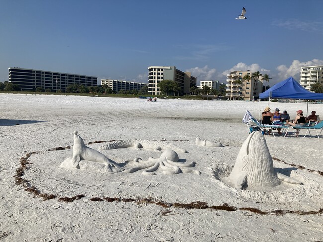 White sands are perfect for sand carving - 1642 Stickney Point Rd