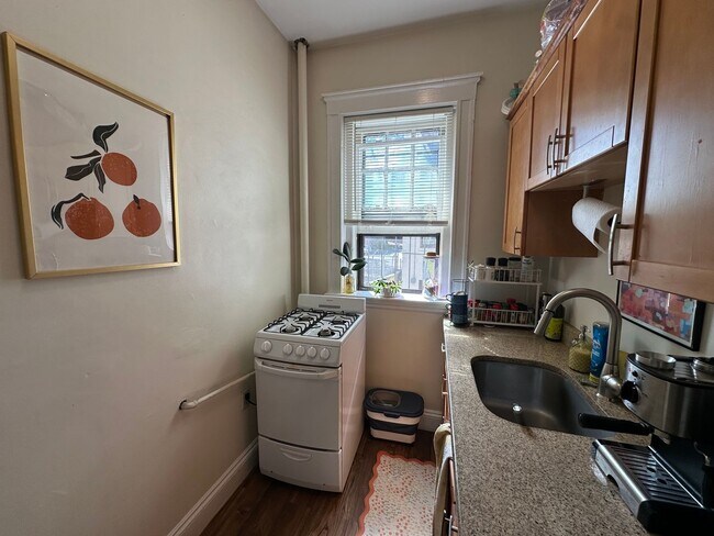 Building Photo - 309 Allston St