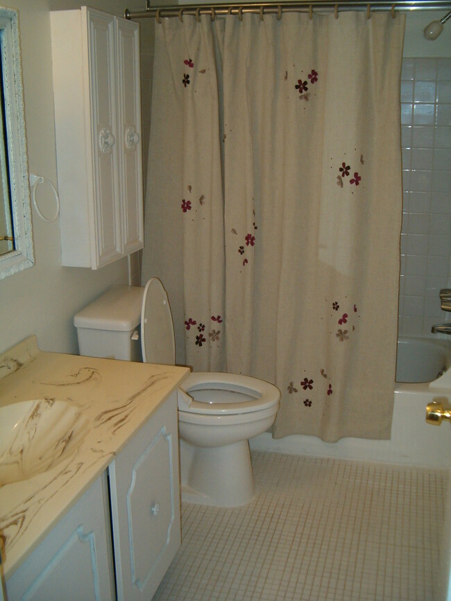 Bathroom - 2912 State Hill Rd