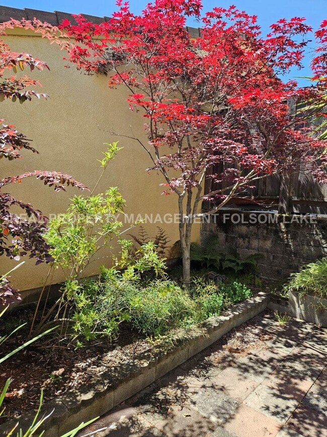 Building Photo - 3 bedrooms 2.5 bathroom split level home