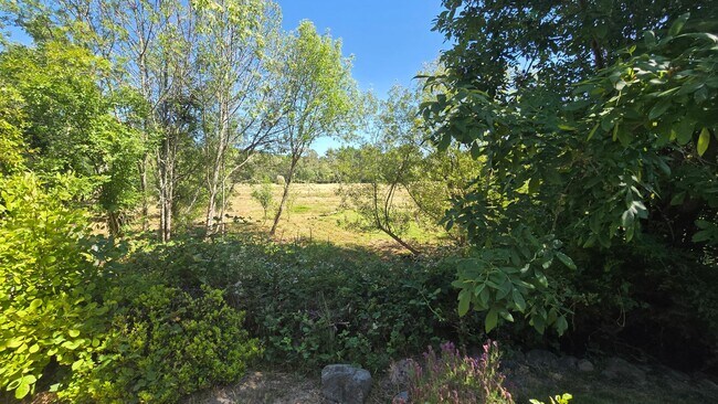 Building Photo - 8341 Valley View Ct